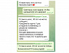 Новогодняя сказка для исполнения желания